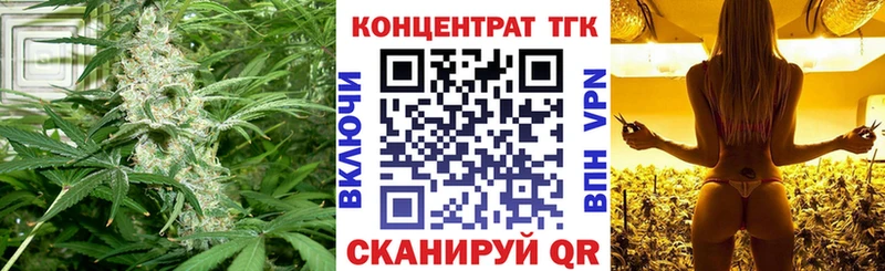 KRAKEN   Семилуки  ТГК гашишное масло 