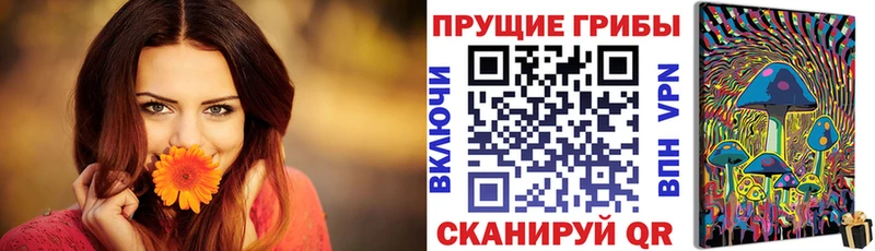 гидра   Семилуки  Галлюциногенные грибы мицелий 